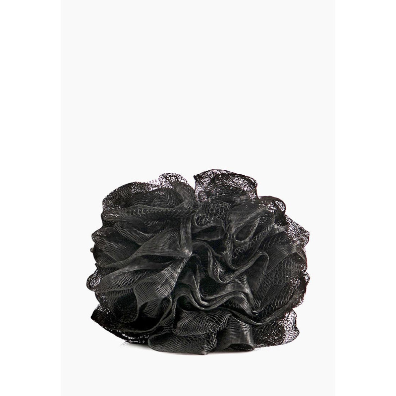 Гъба, черна