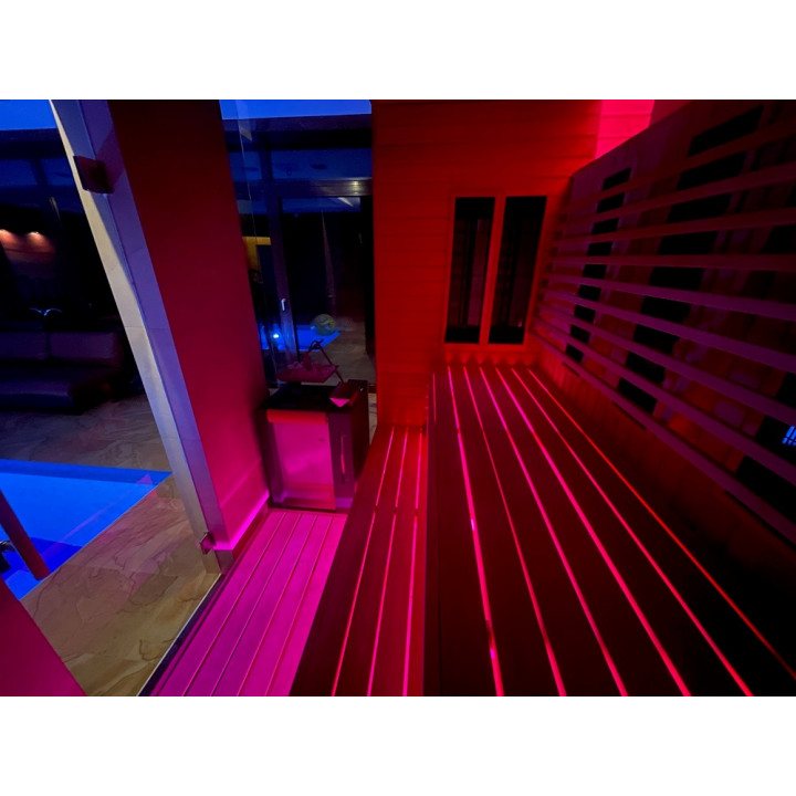 SAUFLEX RGB LED ПРОЖЕКТОР, С УПРАВЛЯВАЩ БЛОК, 50W