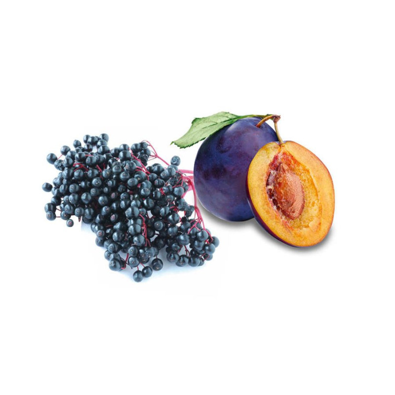 HARVIA ароматен концентрат за сауна, бъз и слива 100 мл