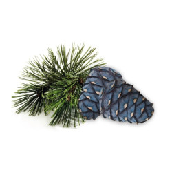 Аромат за сауна HARVIA концентрат, арола бор 1л 