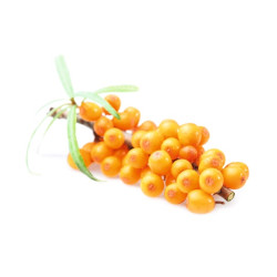 HARVIA ароматен концентрат за сауна, морски зърнастец 1л 