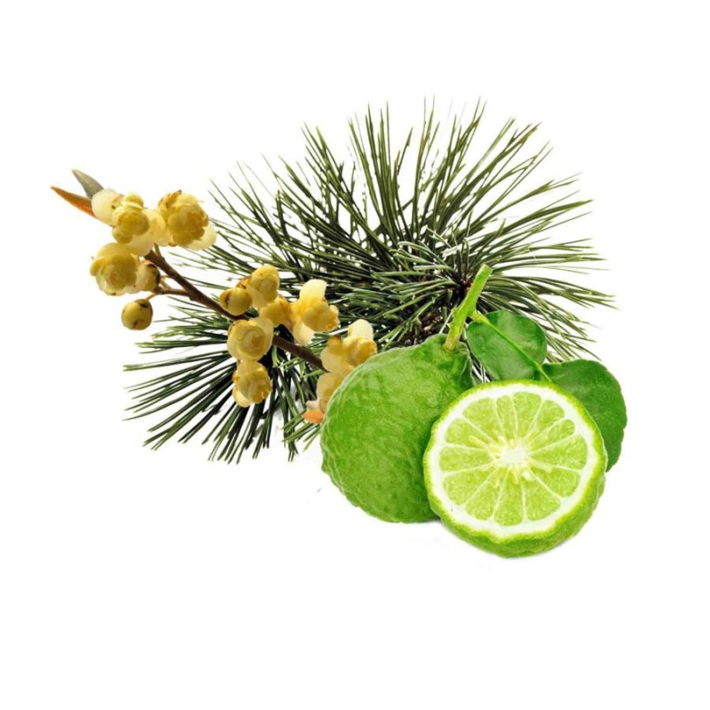 HARVIA ароматен концентрат за сауна, арола бор, бергамот и litsea cubeba 1 л