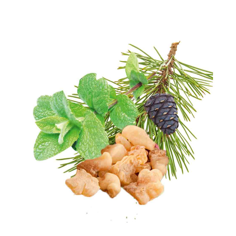 HARVIA ароматен концентрат за сауна, мента, бор, тамян и смирна 1 л