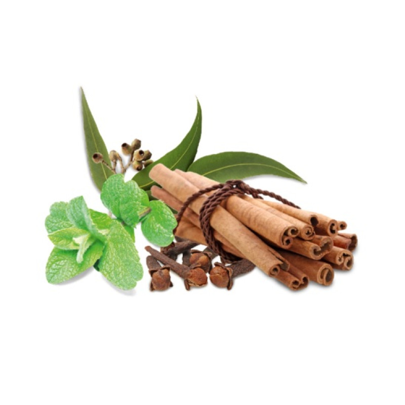 HARVIA Аромат за сауна концентрат, подправки и мента 1л