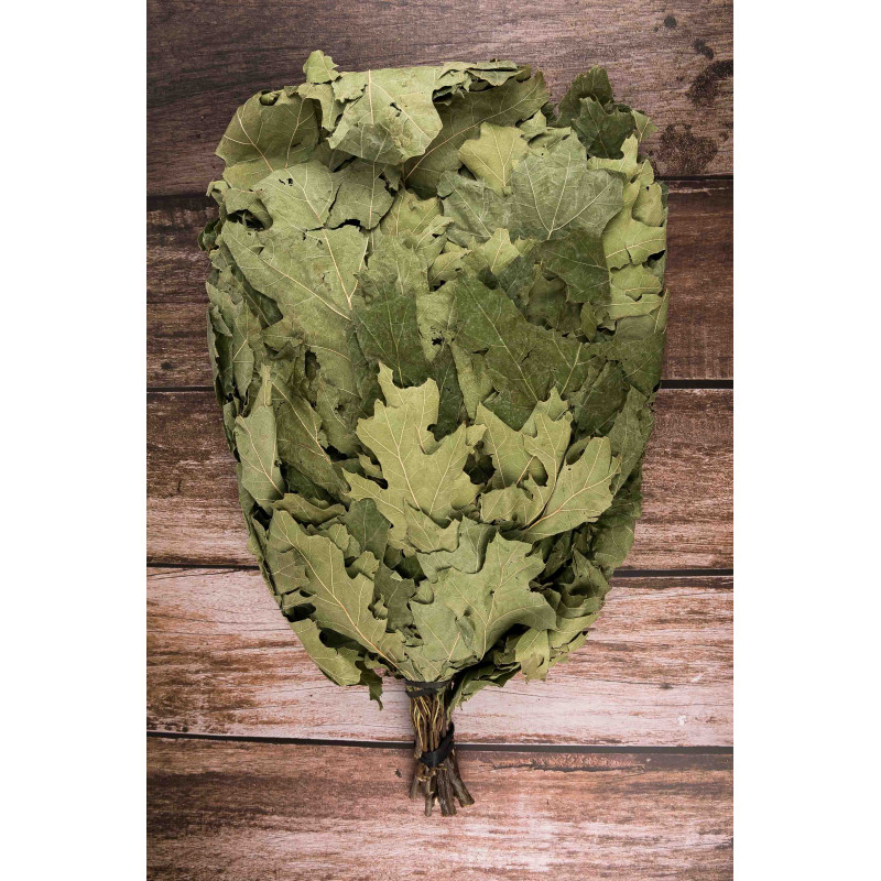 Канадска дъбова метла